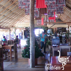 Curaçao Ostrich Farm
